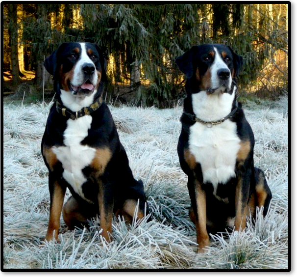 I&Bwinter
