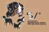 ssv-logo2